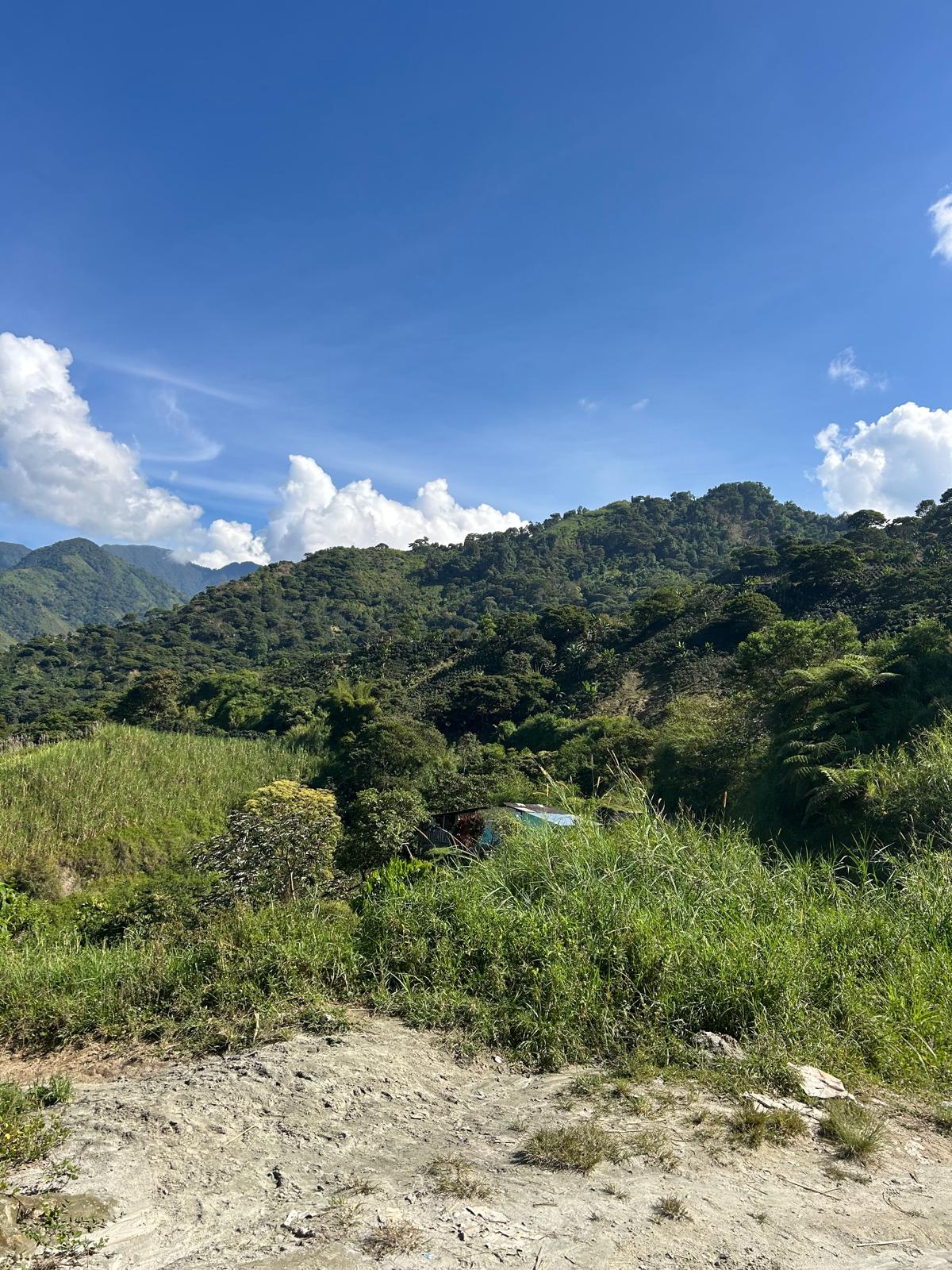 Finca La Eneida