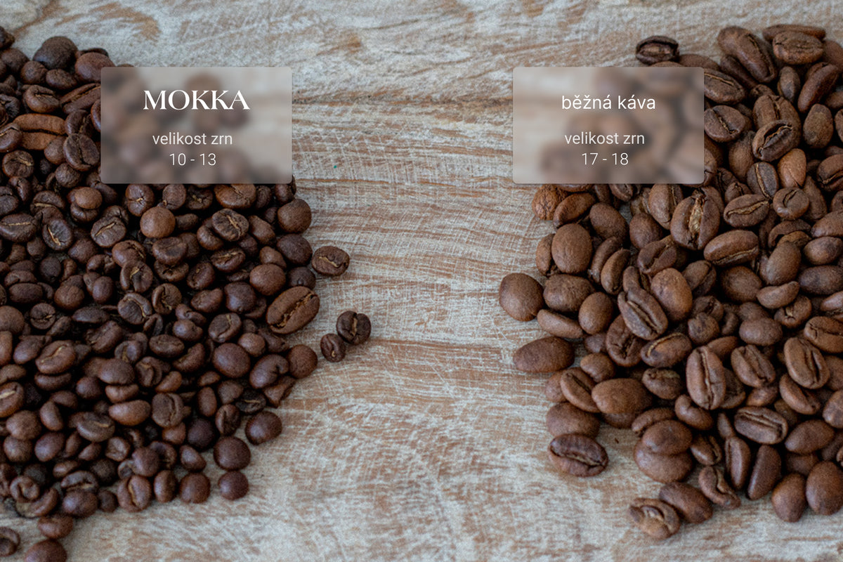 MOKKA
