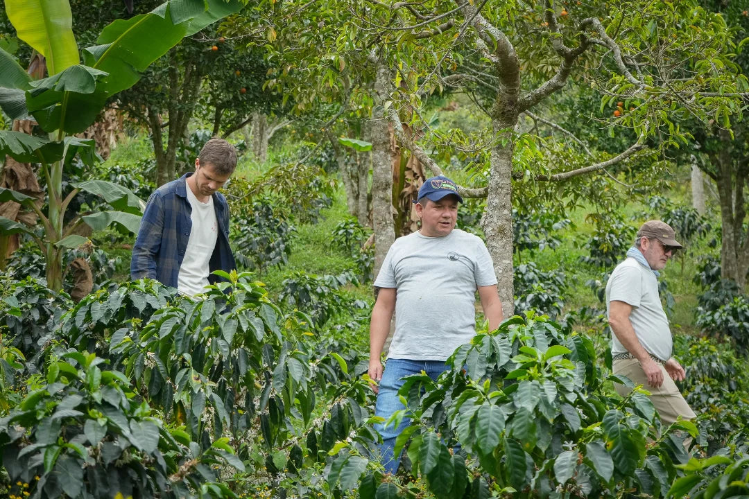 Hacienda Cafetera La Pradera