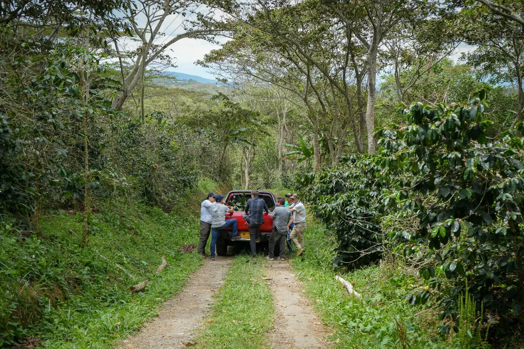 Hacienda Cafetera La Pradera