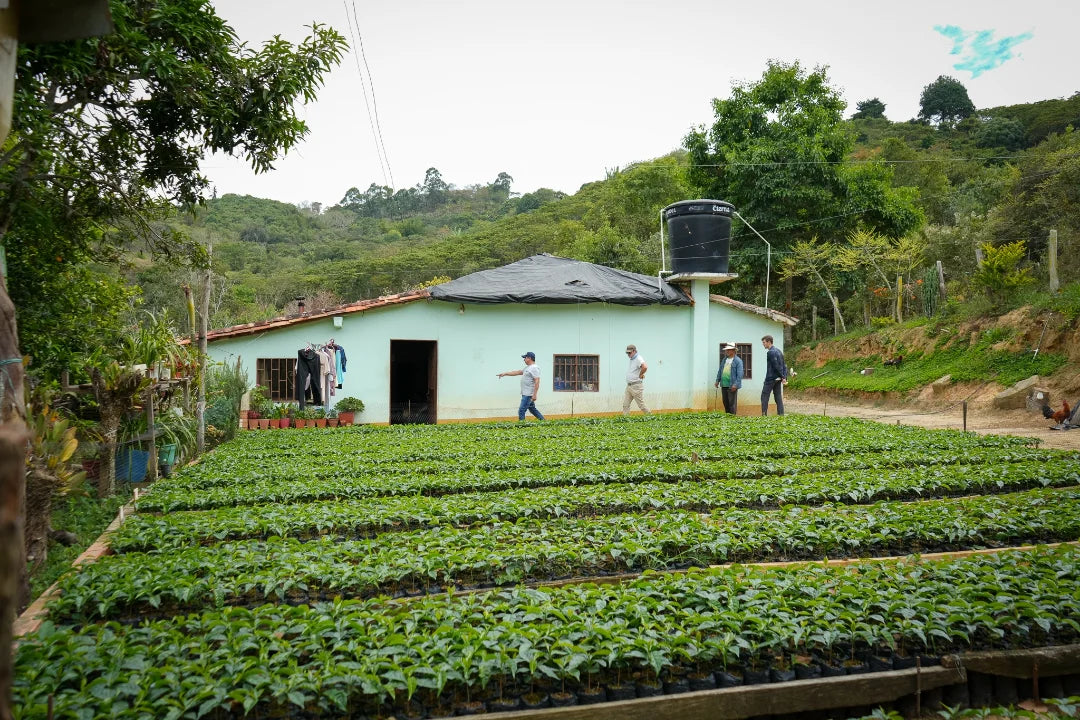 Hacienda Cafetera La Pradera